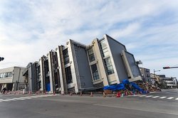 919-3.jpg