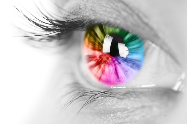 shutterstock_25861381.jpg