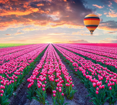 最近の重要な記事まとめ