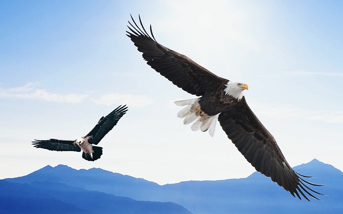 株暴落!激動・グレートリセットに備える