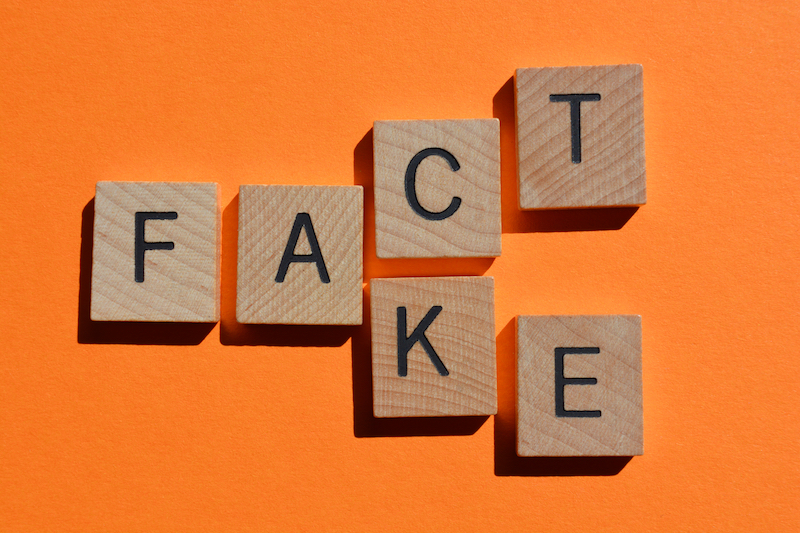 値動きが究極の事実