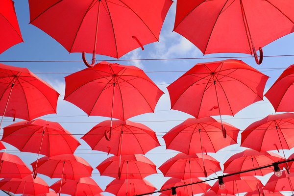 株取引で大損しないためには“欲と恐怖”の大衆心理は禁物