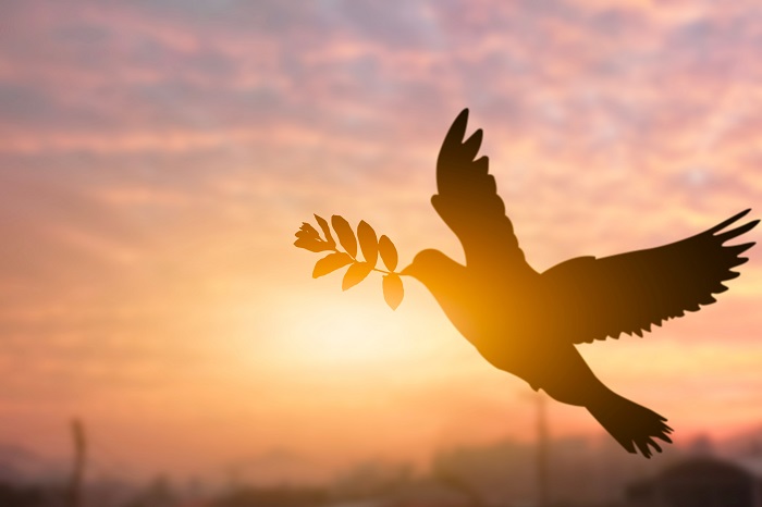 ガザ紛争は今後の国際社会の紛争解決・復興のモデルになるか