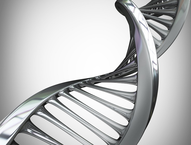 本質を理解する実践的インテリジェンス